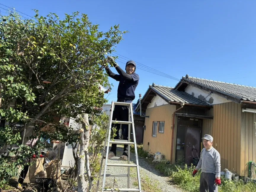 おたすけ隊 庭木剪定作業